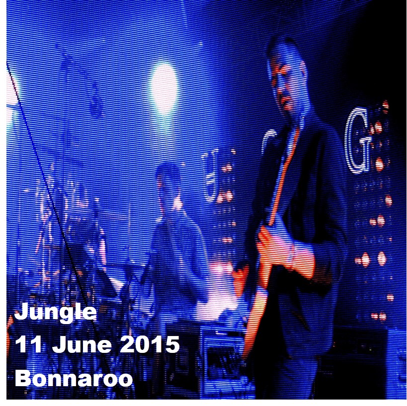 Jungle2015-06-11BonnarooMusicFestivalManchesterTN (1).jpg